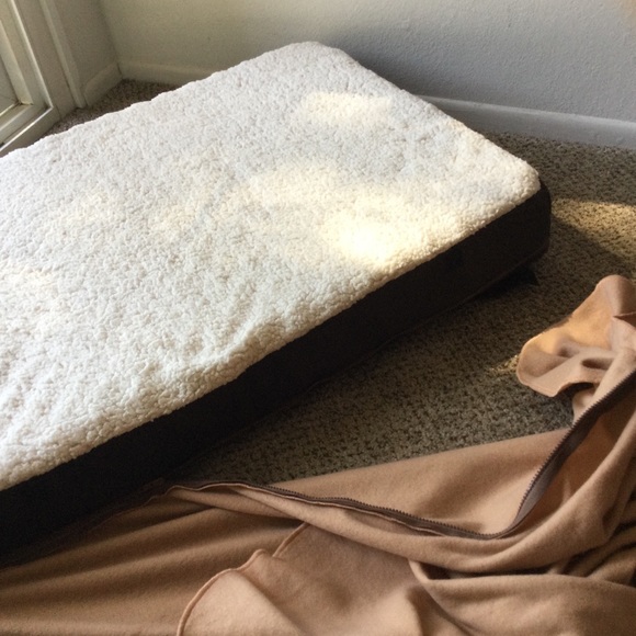 Imprest Pet 🐶 Dog Bed With Blanket Attached 🐾 - Picture 5 of 8